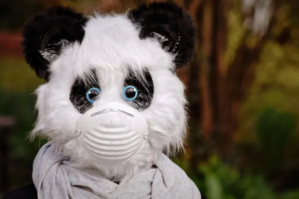 Pronto Casino Ondersteuning